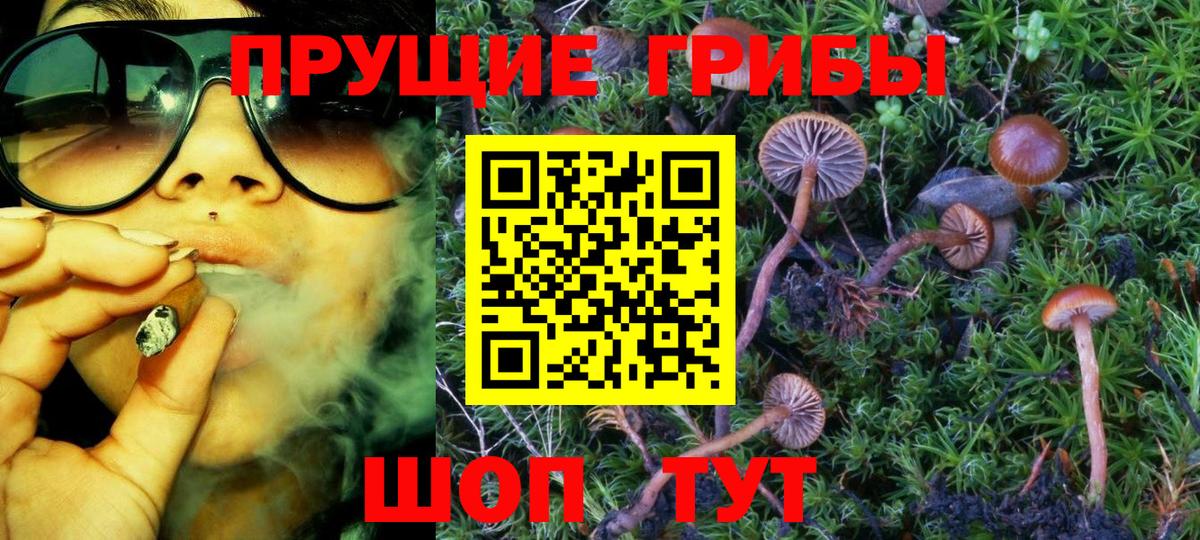 Псилоцибиновые грибы Psilocybine cubensis  Вход с VPN  Галлюциногенные грибы Magic Shrooms  Клинцы 
